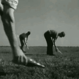 Muizenplaag in 1949 met vergif bestreden