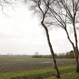 Erfpacht is zo gek nog niet