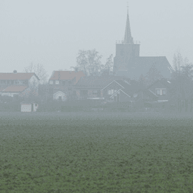 height:550px