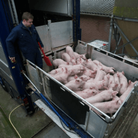 Brandschone truck tegen geringe investering