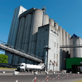 RVO.nl: EU breekt record graanexport