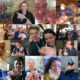 BigSelfie draait op volle toeren