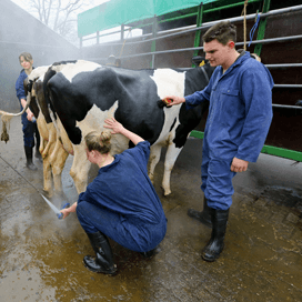 Aantal agrarische banen neemt toe