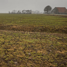 Mestnorm niet aangepast om muizenschade