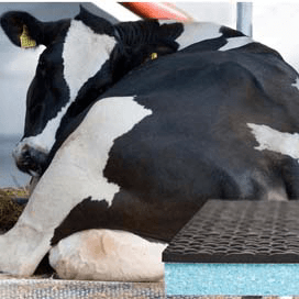 DLG lovend over DeLaval koematras