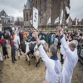 Fraai paasvee en veel bezoekers in Schagen