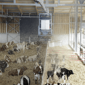 Praktijkcentrum bouwt nieuwe vrijloop: de weidestal