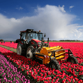 Landbouwnieuws in beeld: week 18