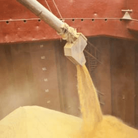 Bunge lijkt toch geen kandidaat overname Tate & Lyle
