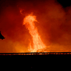 60.000 kippen omgekomen bij brand