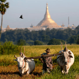 Nederland wil banden met Myanmar verbeteren