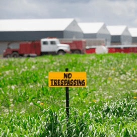 Vogelgriep bedreigt pluimveesector Iowa