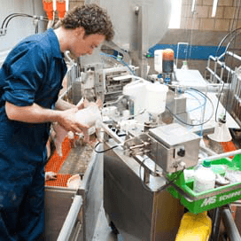 Gelten wegen en later behandelen van biggen