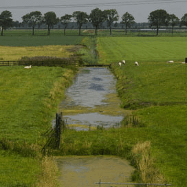 Pas op voor landjepik bij sloten