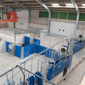 Nieuwe stal begin van eigen concept