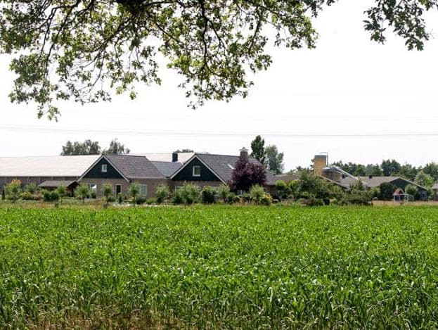 In de stal zitten acht voerlijnen, één lijn meer dan gebruikelijk. In overleg met voerleverancier ForFarmers koos Kemper hiervoor, zodat alle hennen tegelijk kunnen vreten.  Dat komt de bevruchting ten goede. Vooral in de periode van 20 tot 30 weken leeftijd is dit van groot belang , geeft de pluimveehouder aan. <br>De dagvoorraad voer zit in het midden van de stal. Het Bridomat-voersysteem, dat werkt met een voergoot met spiraal, kan op deze manier het voer binnen drie minuten overal in de voergoot hebben liggen.  <br>