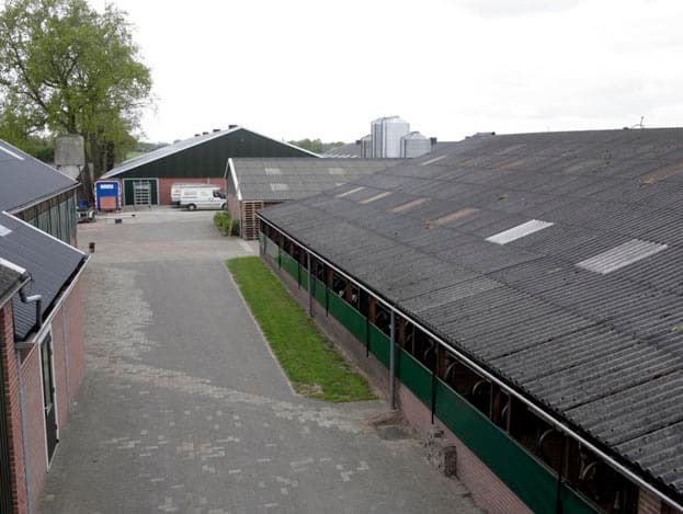 Een overzichtsfoto van het bedrijf. Op de voorgrond de ligboxenstal voor de 60 melkkoeien. Aan de linkerzijde is nog net de jongveeopfokstal zichtbaar. Op de achtergrond is links de nieuwe stal zichtbaar en rechts de bestaande stal uit 2001.