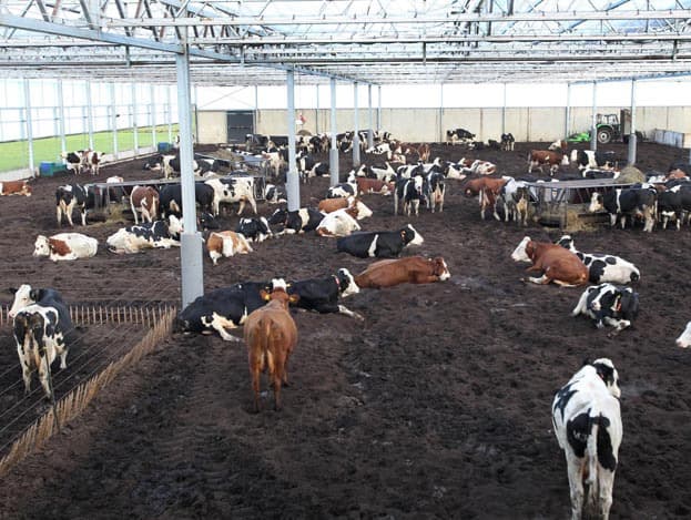 Een deel van het dak kan open voor extra ventilatie. Om de instraling van de zon te verminderen is ongeveer een derde van het dak voorzien van schermen. Een klimaatcomputer regelt de ventilatie en de schermen.