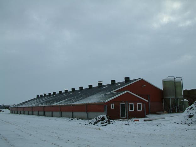 De ventilatie van de nieuwe stal is nog een uitdaging. Vroone: ,,De stal is groot en hoog, 65 keer 25 keer 7, dat ben ik niet gewend. Maar hoewel de ventilatiecijfertjes nog niet helemaal kloppen, groeien de kuikens net zo goed als in de andere stallen. De mestkwaliteit kan nog wel wat beter. Dat krijgen we dus wel onder controle.