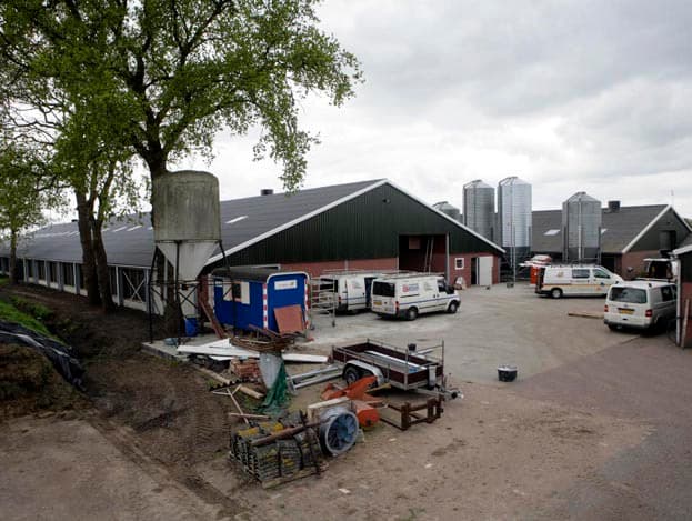 De nieuwe stal is 90 meter lang en 25 meter breed en biedt plaats aan 23.500 scharrelvleeskuikens. De precieze stalkosten per kuiken zijn nog niet bekend. In de stal rechts worden 15.500 kuikens gehouden. Met nog ruim 30 andere scharrelvleeskuikenhouders doet de Maatschap Brilman mee aan het scharrelproject <a href="http://www.ah.nl/puureneerlijk/scharrelvlees">'Puur en Eerlijk'</a>, van supermarktketen Albert Heijn.