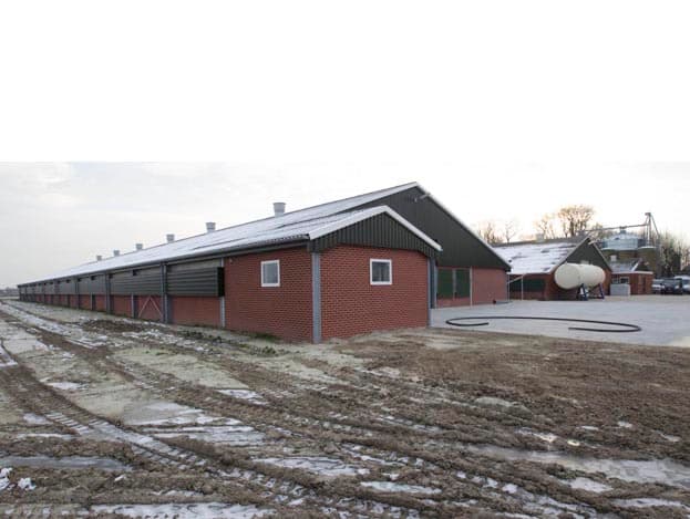 Bij hoge temperaturen kan Westerhuis de vernevelingsinstallatie inschakelen. Langs de beide zijwanden van de stal lopen leidingen.  <br>