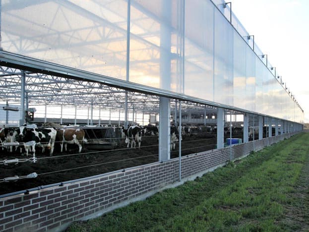 Marcel Havermans (44, rechts) houdt in Moerdijk (N.-Br.) in vennootschap zijn vrouw Ingrid en Peter Geerts (links) 165 melkkoeien en 160 stuks jongvee. De gemiddelde productie op het bedrijf is 8.000 liter met 4,50 procent vet en 3,50 procent eiwit. Bij het bedrijf hoort 120 ha grasland. Havermans nam afgelopen voorjaar een vrijloopstal met compostbodem in gebruik. Begin december ontving hij hiervoor de innovatieprijs van ZLTO.<br> <br><i>Foto's: Peter Roek , tekst: Anne-Marie van der Linde</i>.