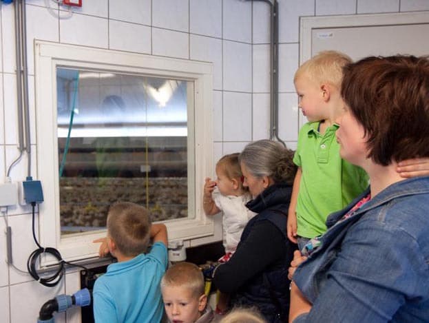 Op een diascherm zagen bezoekers foto s van de stalbouw.  <br> <br>