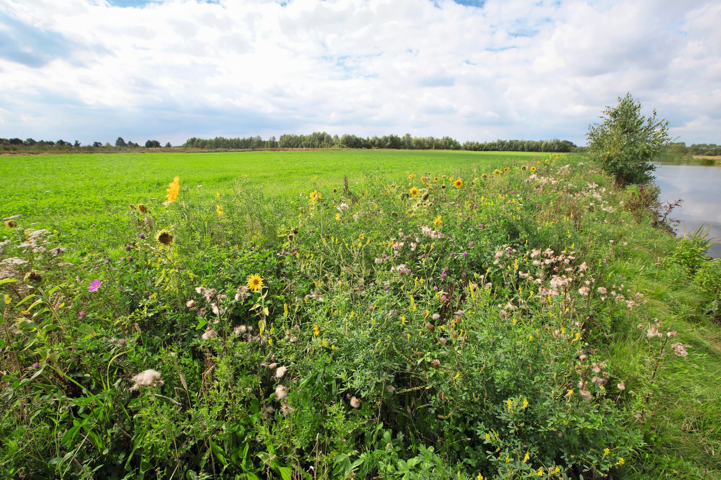 vergoeding agrarisch natuur en landschapsbeheer