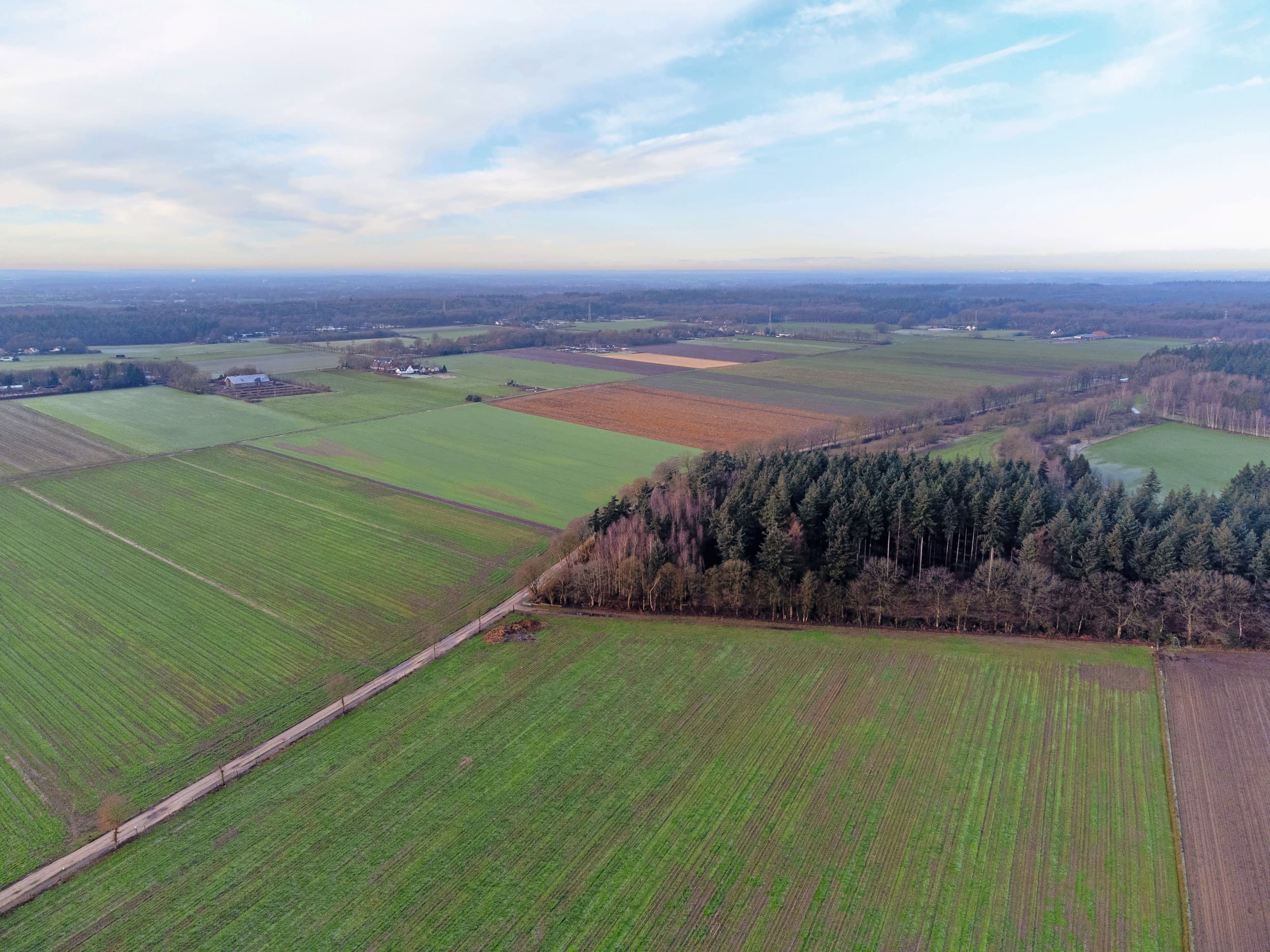 Agrarisch gebied. 8% van de deelnemers aan Lbv en Lbv+ houdt vee op een andere locatie. Foto: Herbert Wiggerman