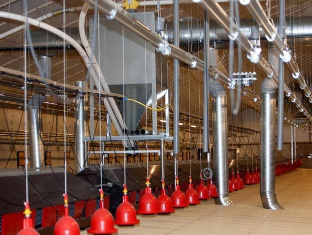 Jeroen Kemper (36) heeft op de plek van een oude stal een nieuwe stal geplaatst voor 18.500 vleeskuikenouderdieren. In totaal heeft hij nu plek voor 32.500 dieren. In de nieuwe stal werkt Kemper met dezelfde opzet als in de oude stallen, alleen is de nieuwe stal twee keer zo groot.<br> <br><i>Foto's: Ronald Hissink, tekst: Judith Waninge  </i> <br>