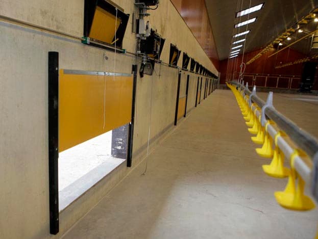 Maatschap Brilman heeft in het Overijsselse Heino een nieuwe stal gebouwd voor 23.500 scharrelvleeskuikens. Met de nieuwe stal is de capaciteit uitgebreid naar 39.000 scharrelvleeskuikensplaatsen.  <br>Erald Brilman (42, op de foto) en zijn ouders Henk en Gerrie hebben een gemengd bedrijf. Op dezelfde locatie worden 60 koeien gemolken. Achter het bedrijf ligt 22 ha. <br><BR> <br><BR> <br><i>Foto's: Henk Riswick, tekst: Bouke Poelsma</i>