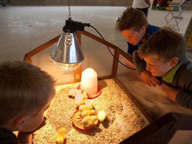Hier en daar was aanvankelijk wat weerstand tegen de komst van Dekker en zijn buurman Bessembinder, die een vleesvarkensbedrijf bouwt. Met dit bord laten buurtbewoners zien dat beide families welkom zijn in Notter.  <br> <br><BR> <br><BR> <br> <br>In <a href="http://www.boerderij.nl/10115837/Pluimveehouderij/video-foto-pluimveehouderij/Vierde-bedrijf-in-twintig-jaar.htm ">deze </a>reportage staan meer achtergronden over het bedrijf van Henk Dekker.  <br> <br><BR> <br><BR> <br> <br> <br>Lees ook de uitgebreide reportage in Pluimveehouderij 8 van 17 juni jl. Nog geen abonnement? Klik<a href="http://www.boerderij.nl/Pluimveehouderij/Abonneren-Pluimveehouderij.htm "> hier</a>! <br> <br>