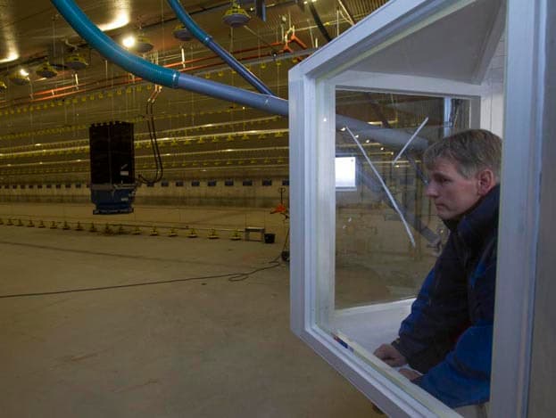 Dit is het achteraanzicht van de drie vleeskuikenstallen, met uiterst rechts de nieuwe stal. De twee andere stallen werden in respectievelijk 1991 en 1998 gebouwd. De windmolen is van de buurman.