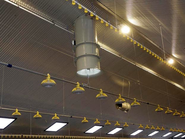 De nieuwe stal van de Maatschap Brilman is de eerste nieuwbouwstal voor scharrelvleeskuikens in ons land.