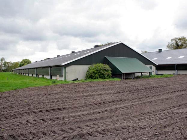 Bij het schoonmaken loopt het reinigingswater via enkele afvoerputten de stal uit.  <br>De mest gaat overigens na iedere ronde naar de verbrandingsinstallatie in Moerdijk.