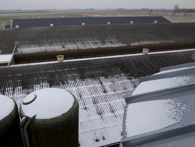 Een bovenaanzicht van de drie stallen. De foto is genomen vanaf het bordes tussen de twee grote graansilo s op het bedrijf. Westerhuis voert sinds 1995 eigen tarwe bij aan zijn kuikens.  <br>
