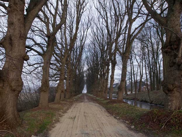 De kachels draaien op sloophout. Op jaarbasis denkt Westerhuis zo n 260 ton hout nodig te hebben. Dat zijn zo n 13 vrachten per jaar. Hij rekent ¬ 42 per ton hout. Dat is inclusief transportkosten.