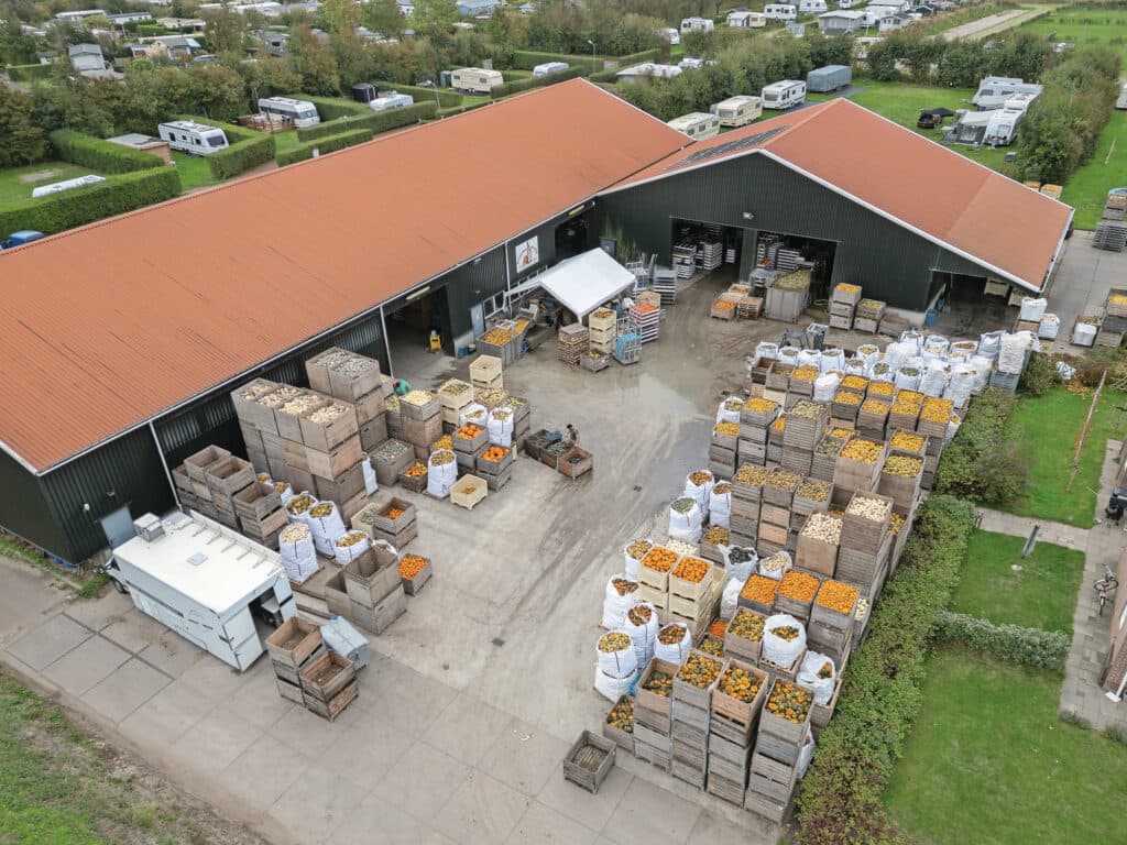Kalebassenteelt is iets wat veel gebeurt in het zanderige gebied van Ouddorp.