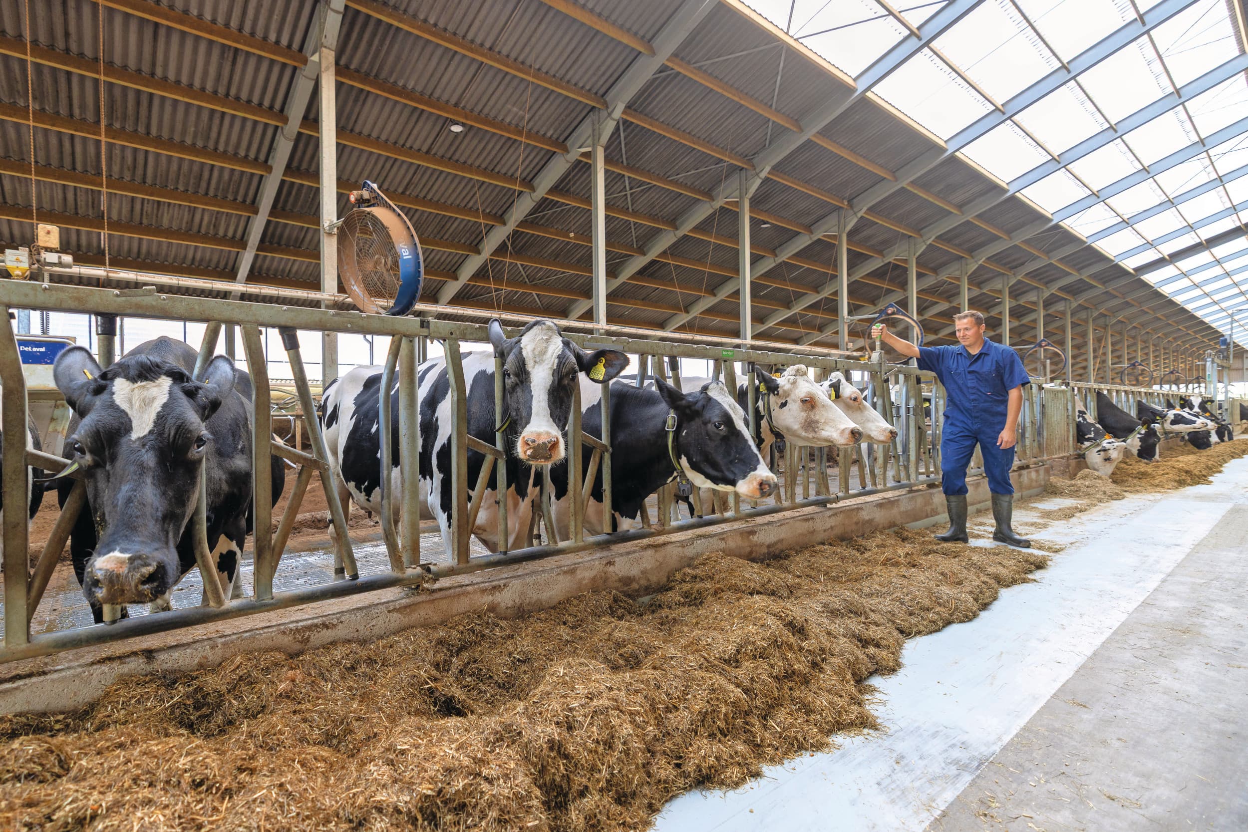 Bij een voerhek draait het vooral om het comfort en de toegankelijkheid voor de koeien en arbeidsgemak voor de veehouder. Er is nogal wat te kiezen in typen voerhek van verschillende aanbieders. Foto: Peter Roek