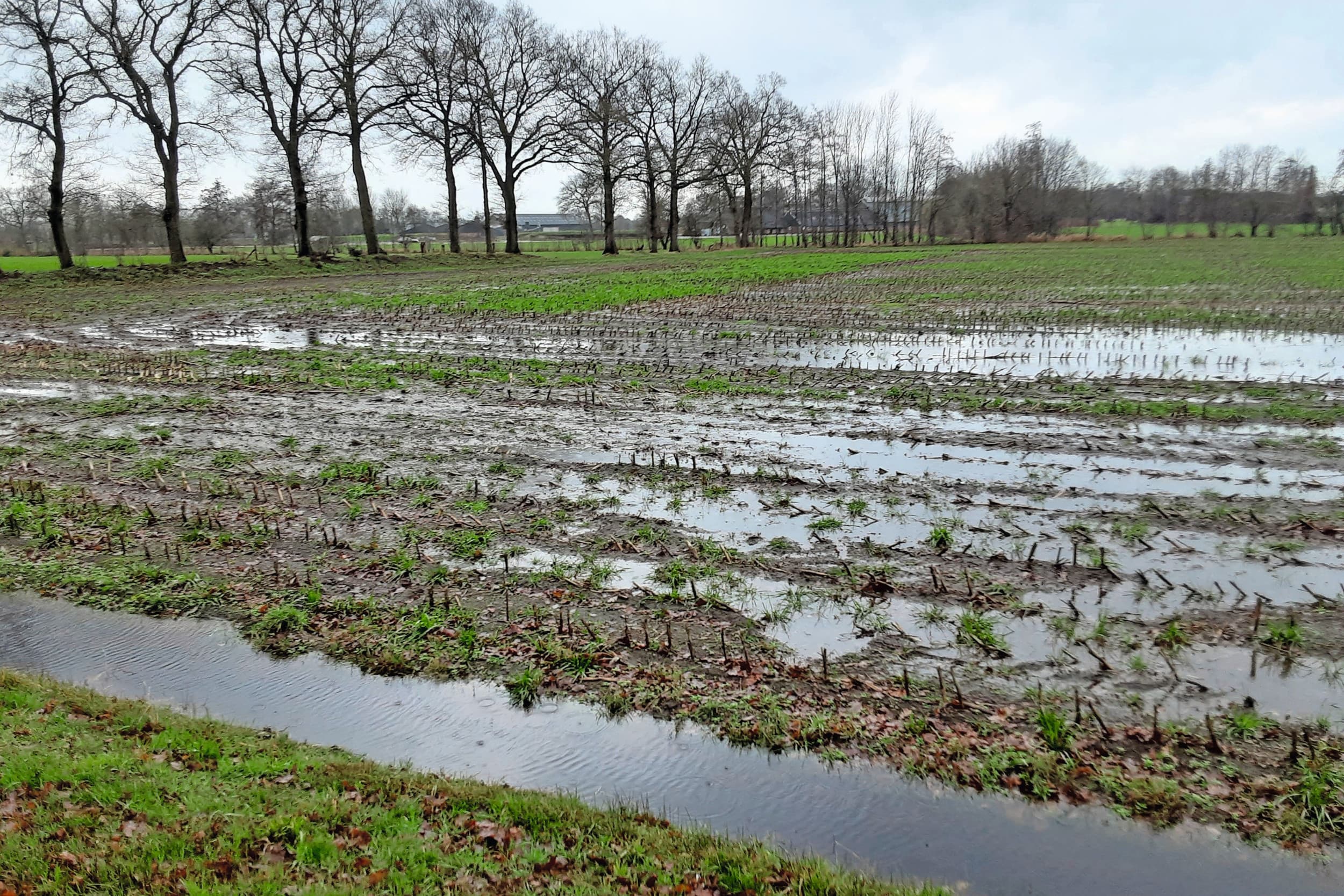 Plasvorming op een onderzochte akker bij Losser in Twente. Het is een groeiend probleem, blijkt uit recent onderzoek van Deltares. Foto: Deltares