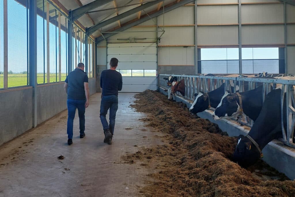 Afgelopen jaren is de focus in de voerstrategie verlegd naar het behalen van een hogere eiwitefficiëntie in het rantsoen.