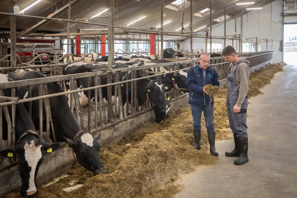 Volgens Rob is er een duidelijke afname van het aantal ophaalkoeien. Foto: De Heus