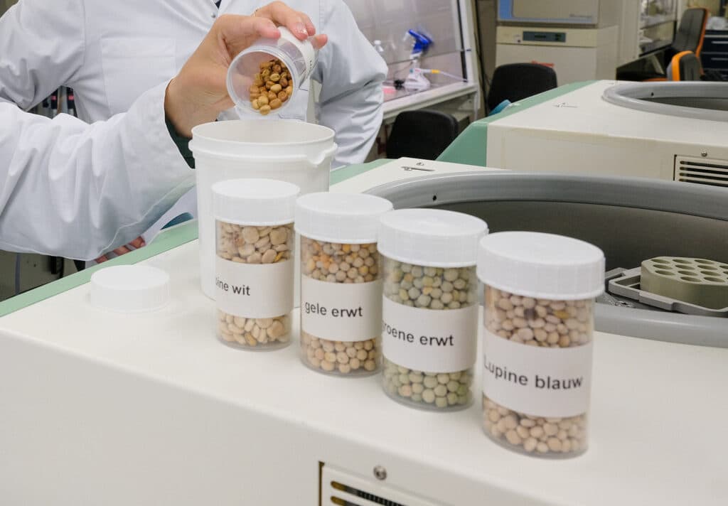 Het Fascinating-project Optimens doet onderzoek naar het vormen van een compleet aminozurenprofiel met verschillende Nederlandse eiwitgewassen. Foto: Jan Willem van Vliet