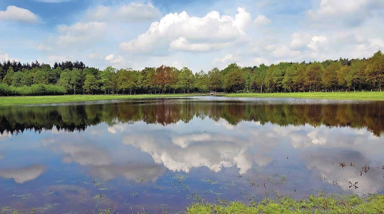 Natuurgebied Kempenland-West. Foto: Provincie Noord-Brabant
