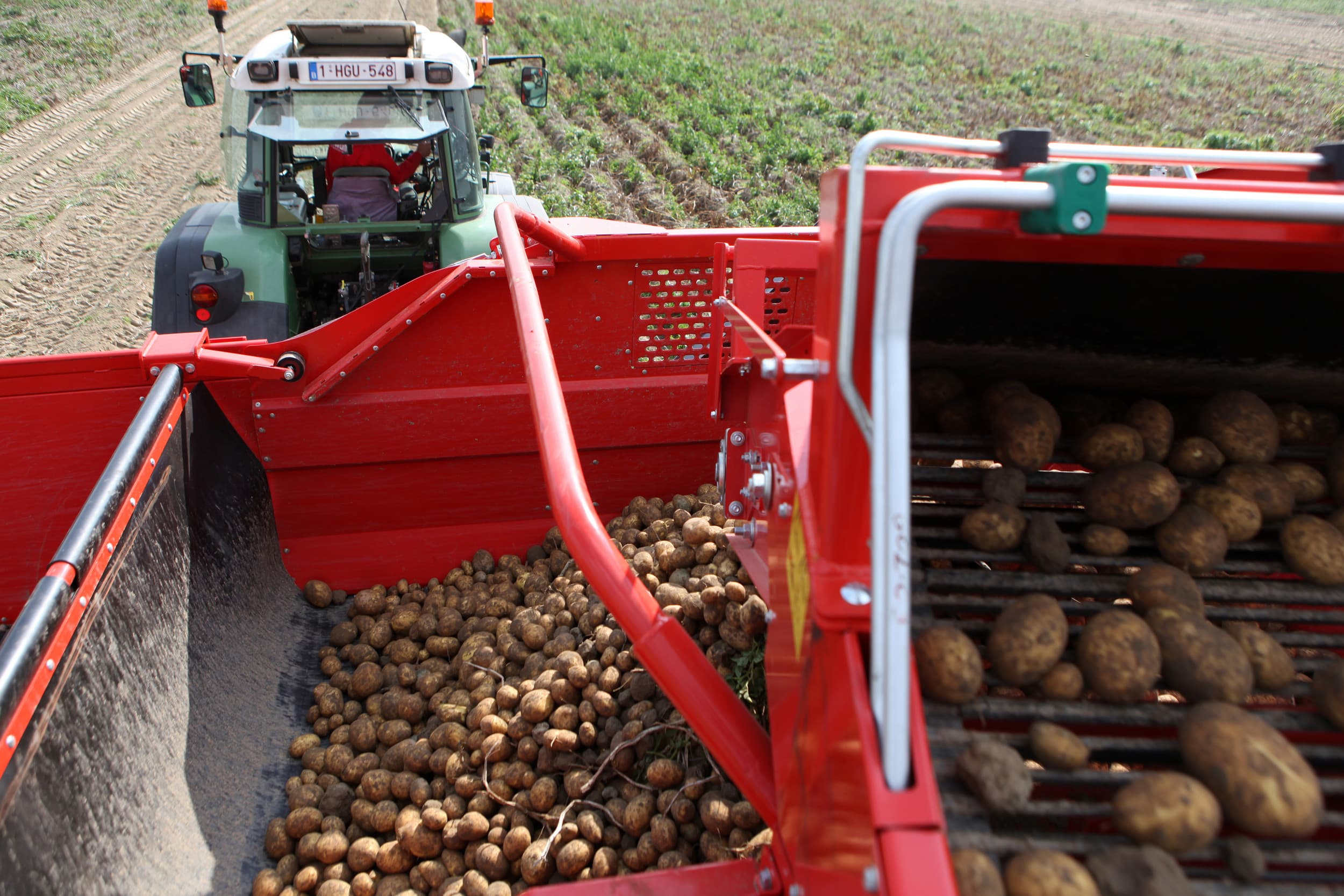 Volgens de NEPG kan een aanzienlijk deel van de oogst niet worden opgeslagen en zijn er al tienduizenden tonnen aardappelen weggegaan voor veevoer, naar biovergisters of composteringsinstallaties. Foto: Fotostudio Atelier 68