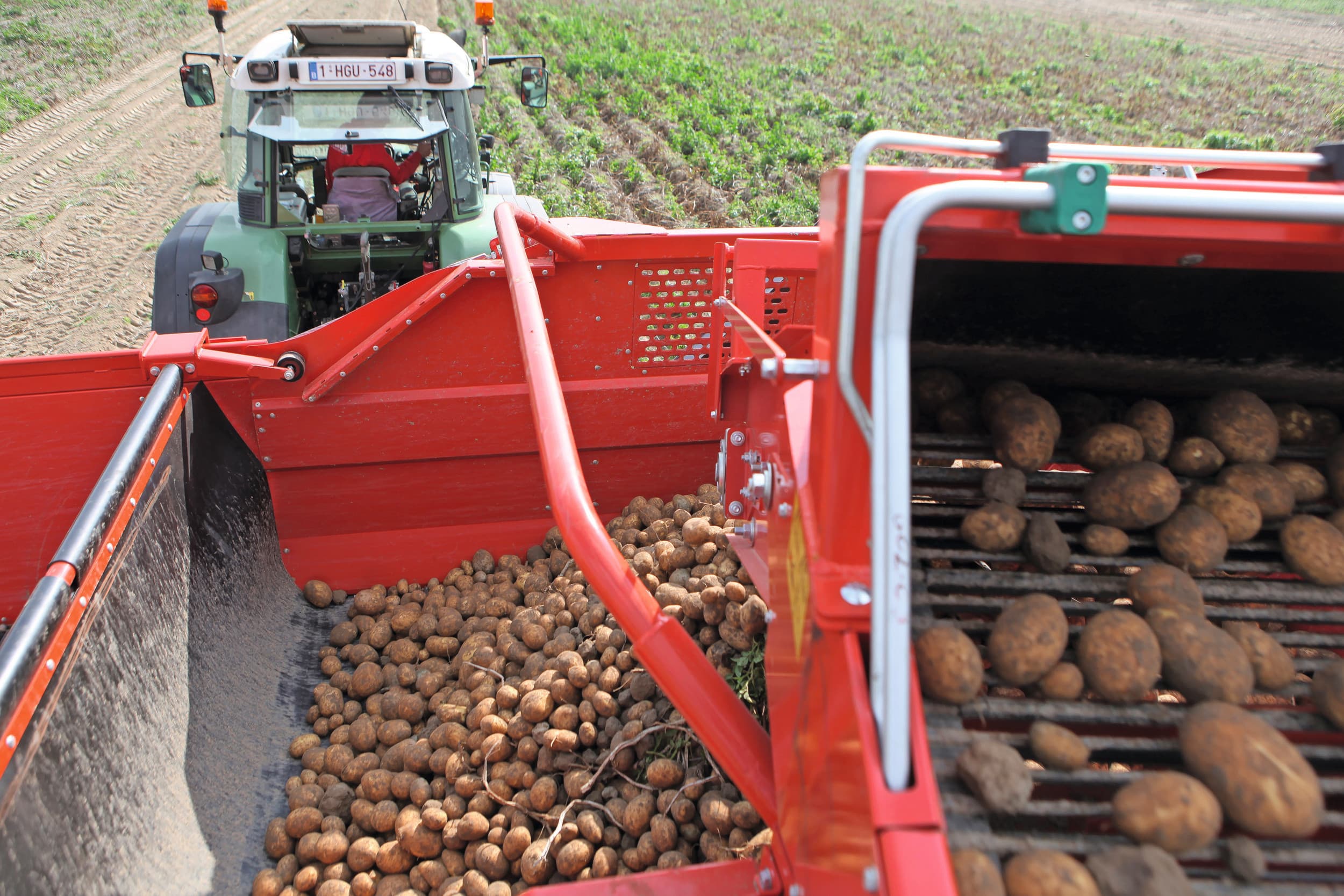 Wanneer Belgische telers dit jaar net zoveel consumptieaardappelen van een hectare halen als het gemiddelde van de afgelopen vijf jaar, levert dat een oogst op van 4,88 miljoen ton. Foto: Fotostudio Atelier 68