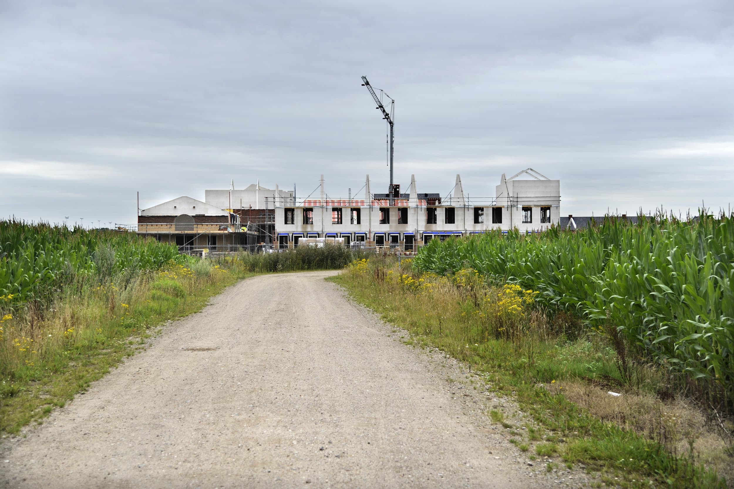 nieuwbouw naast agrarisch perceel