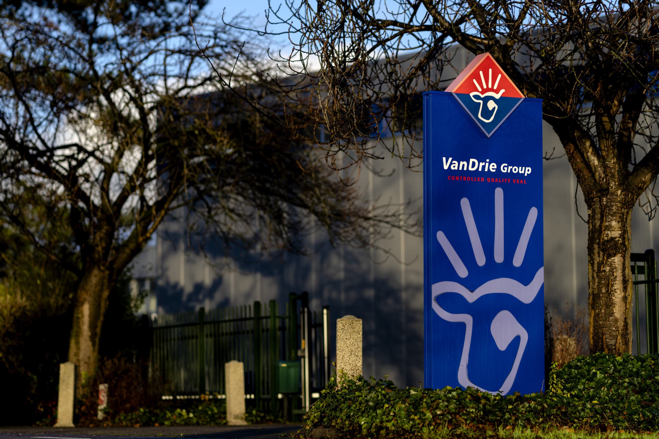 Franse dierenactivisten hebben in de nacht van zondag op maandag gelijktijdig zes slachterijen van VanDrie Group aangevallen, vier in Nederland en twee in Frankrijk. Foto: ANP/ Sander Koning