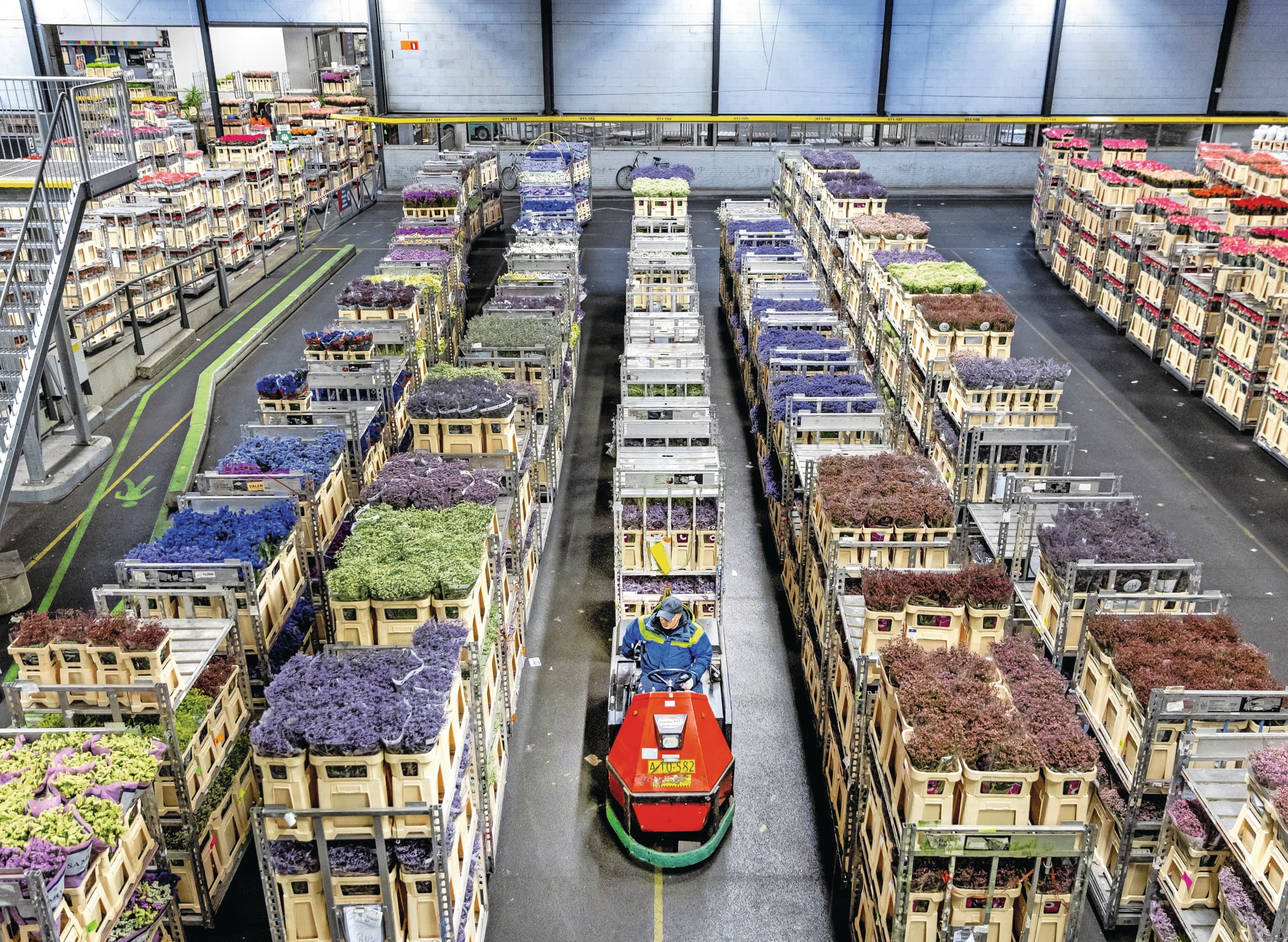 De bloemenveiling in Aalsmeer. Sierteelt is een van de voornaamste Nederlandse landbouwexportproducten. Foto: ANP