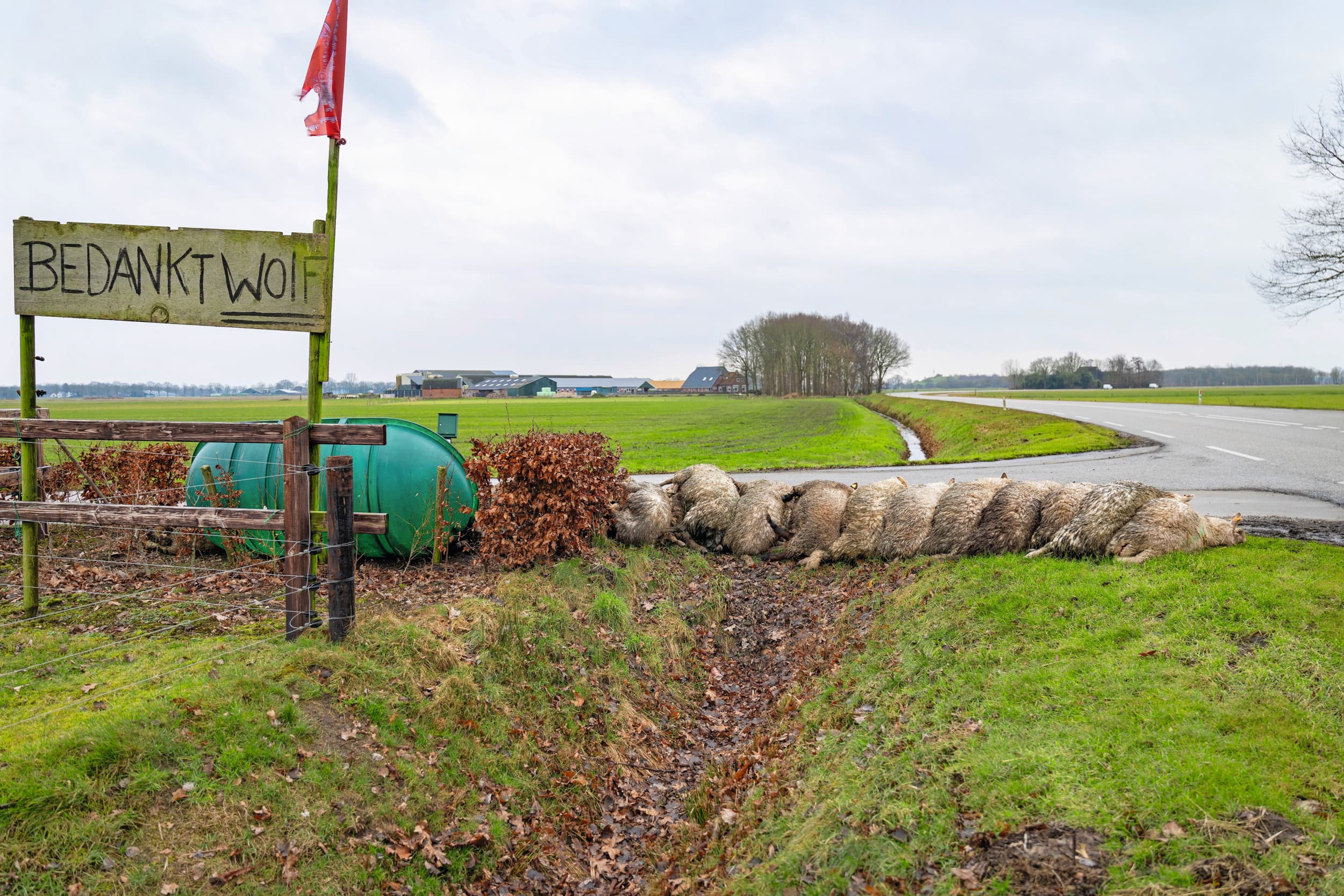 wolvenschade 2025